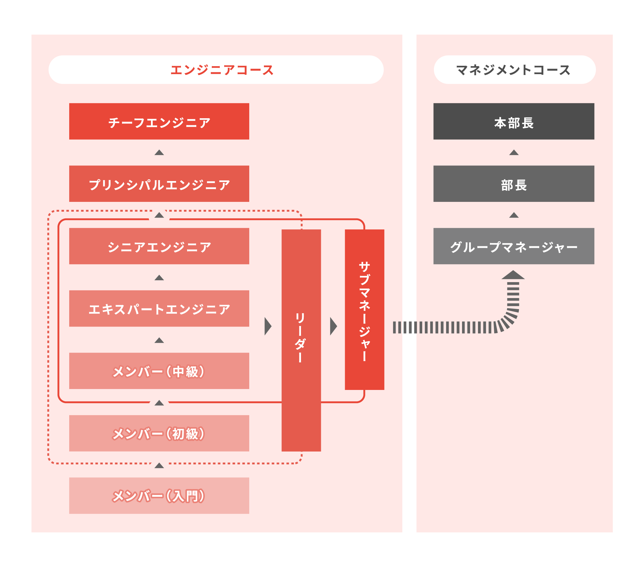 キャリアパス制度 図